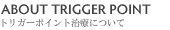 ABOUT TRIGGER POINT トリガーポイント療法について