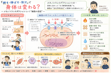 ブログイメージ
