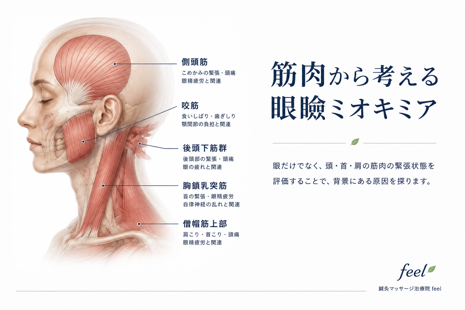 ブログイメージ