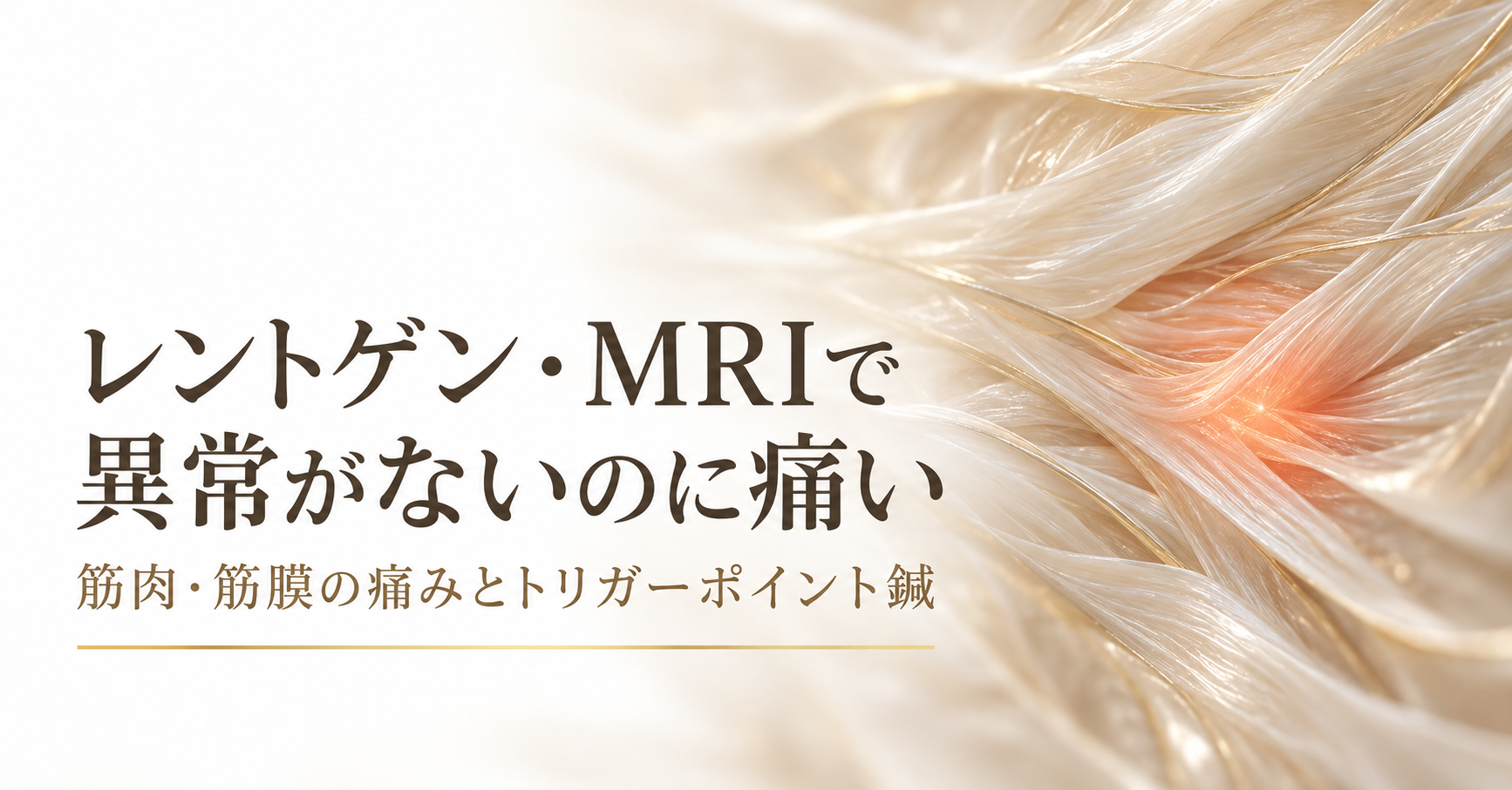 ブログイメージ